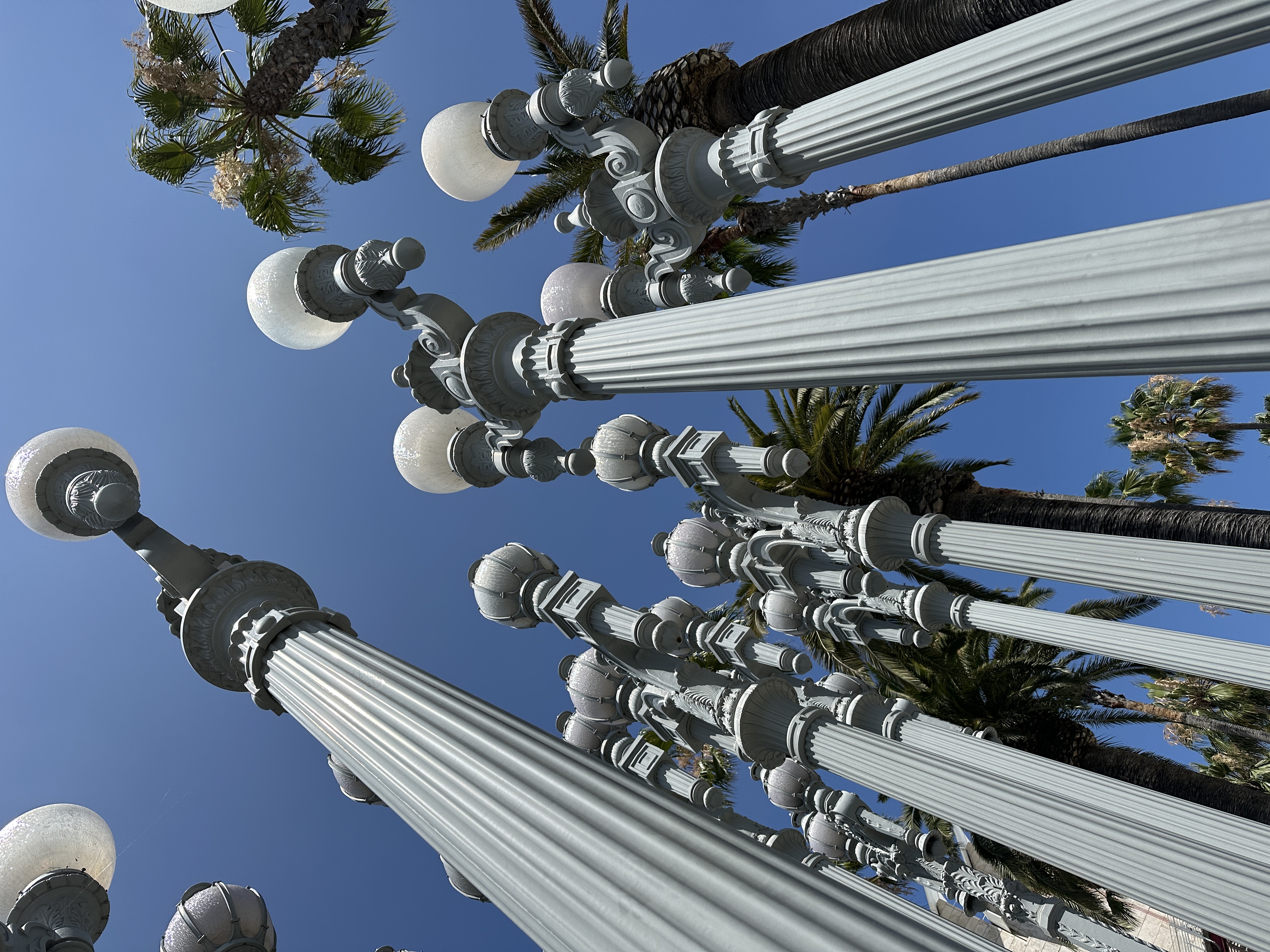 Chris Burden's Urban Light installation: rows of restored vintage streetlamps under palms